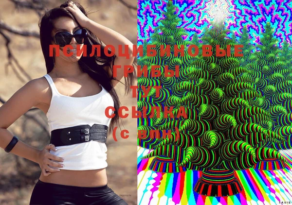 гашик Абаза