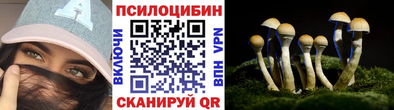 Псилоцибиновые грибы Psilocybine cubensis Петров Вал