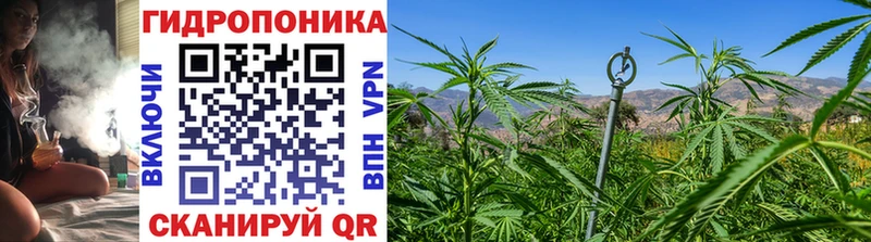 Канабис Ganja  купить наркотик  Петров Вал 
